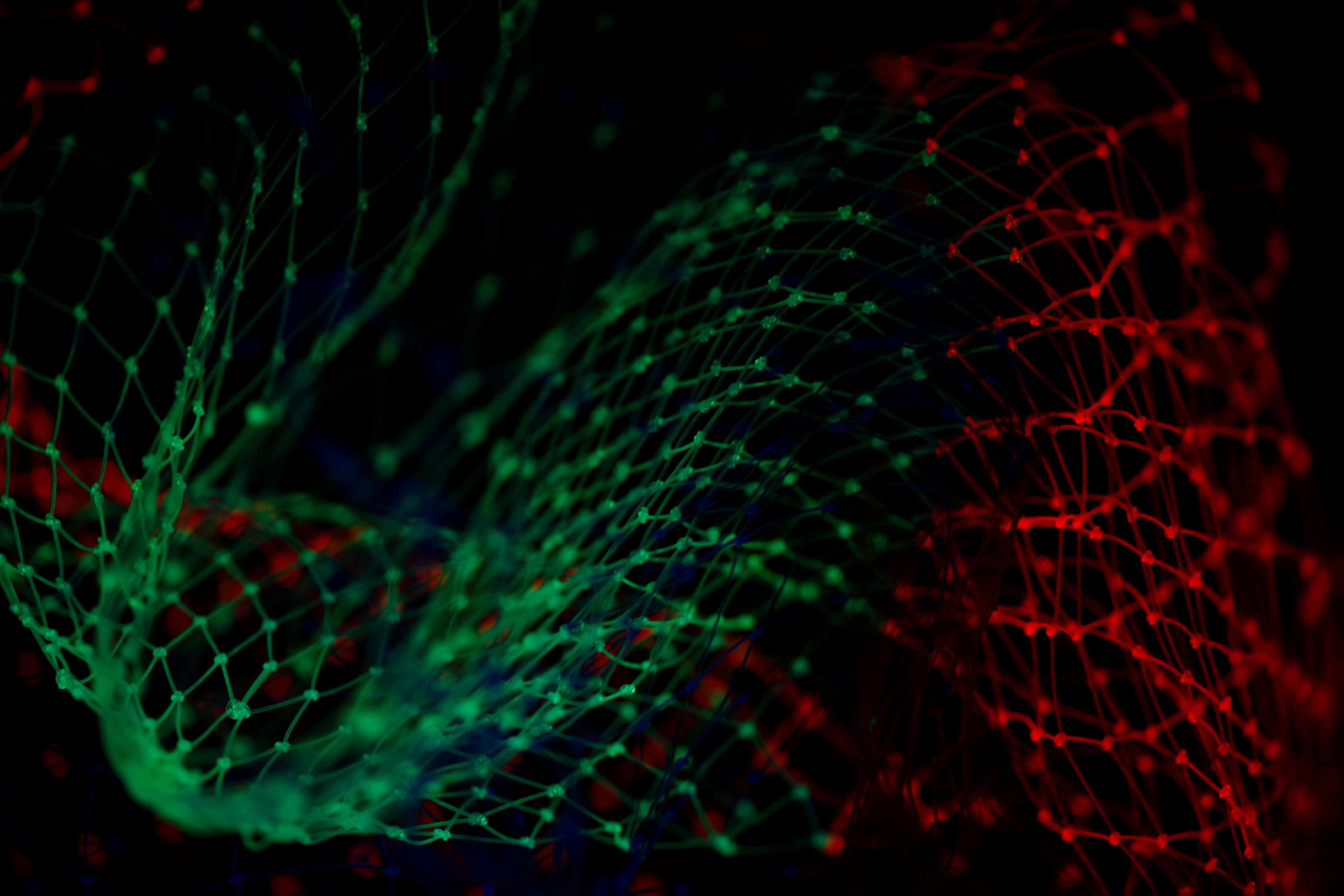 Accelerated AI Inference via Dynamic Execution